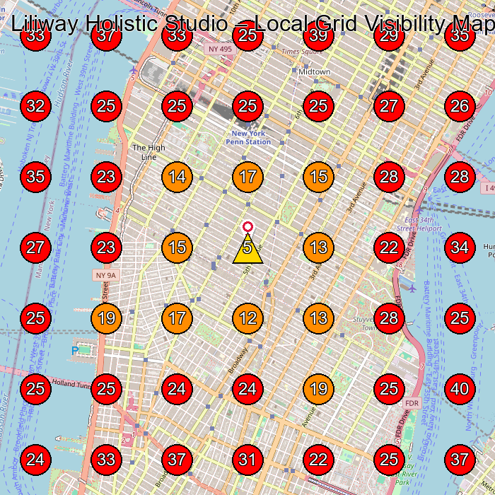 Liliway Holistic Studio GeoGrid visibility map for Health Spa in New York